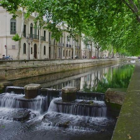 Le Nid Douillet Daire Nîmes Dış mekan fotoğraf