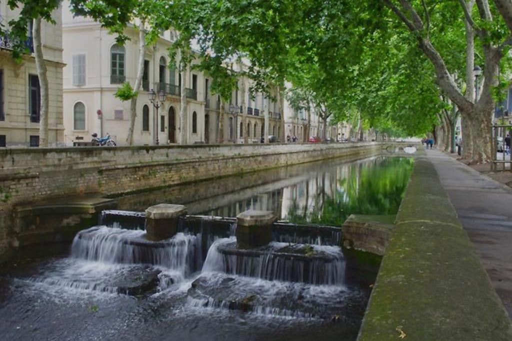 Le Nid Douillet Daire Nîmes Dış mekan fotoğraf